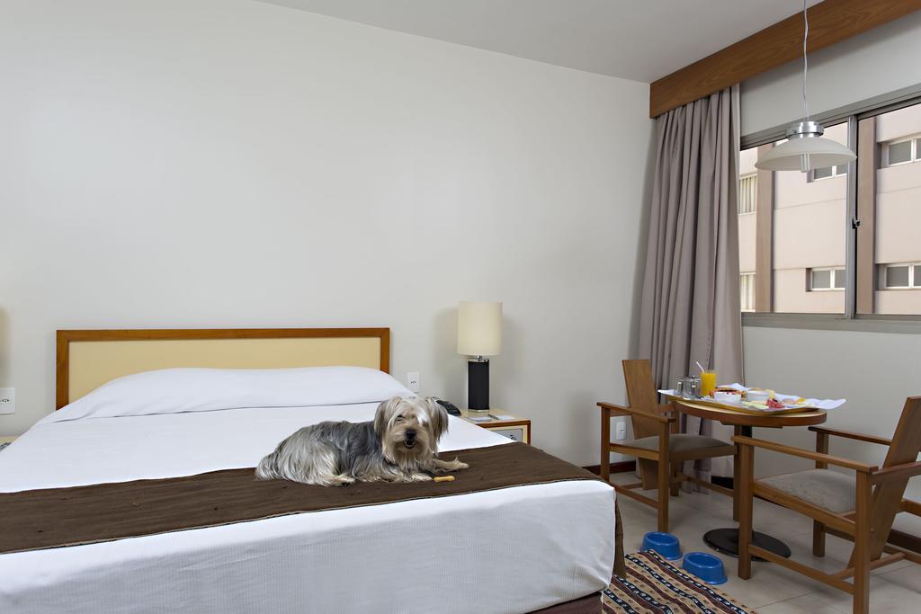 Stream Palace Hotel (Adults Only) Ribeirão Preto Eksteriør billede